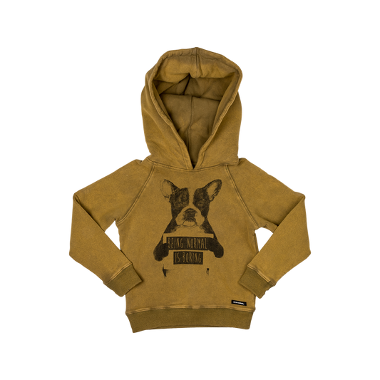 Rock Your Baby Normal is Boring Hoodie - Khaki